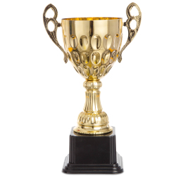 Кубок спортивный с ручками SP-Sport 4045C высота 29см золотой