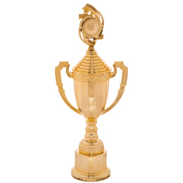 Кубок спортивний з ручками і кришкою SP-Sport CHIC C-8972A висота 56см золотий