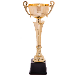 Кубок спортивный с ручками SP-Sport FEAST C-2060B высота 33см золотой