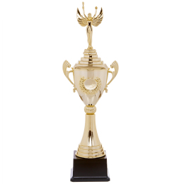 Кубок спортивний з ручками і кришкою SP-Sport NIKA HB4050A висота 48см золотий