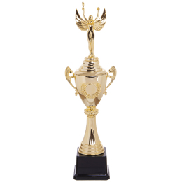 Кубок спортивний з ручками і кришкою SP-Sport NIKA HB4050B висота 41см золотий
