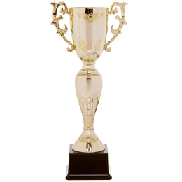 Кубок спортивный с ручками SP-Sport OLYMP HB4057A высота 45см золотой
