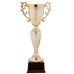 Кубок спортивный с ручками SP-Sport OLYMP HB4057B высота 36см золотой