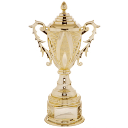 УЦЕНКА Кубок спортивный с ручками и крышкой SP-Sport REWARD HB4112A высота 49см золотой