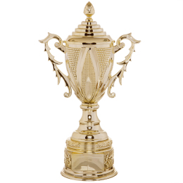 Кубок спортивный с ручками и крышкой SP-Sport REWARD HB4112B высота 41см золотой