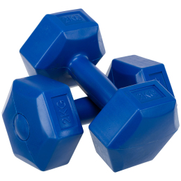 Гантель для фітнесу з покриттям PE Zelart TA-4758-2 1шт 2кг кольори в асортименті