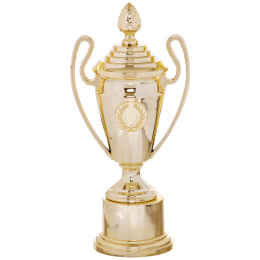 Кубок спортивный с ручками и крышкой SP-Sport FAVOURITE HB4002C высота 28см золотой