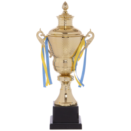 Кубок спортивний з ручками і кришкою SP-Sport HEIGHT G104C висота 45см золотий