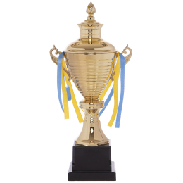 Кубок спортивный с ручками и крышкой SP-Sport FAIRY G108C высота 41см золотой