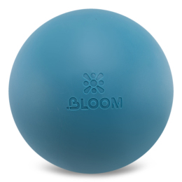 М'яч для пілатесу та йоги BLOOM PREMIUM PILATES BALL LB7003-20 20см кольори в асортименті