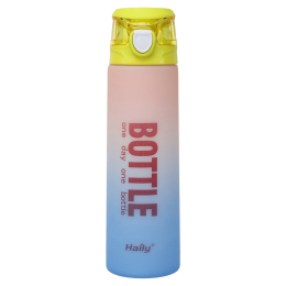 Бутылка для воды HAILY BOTTLE HL-8602 1000мл цвета в ассортименте