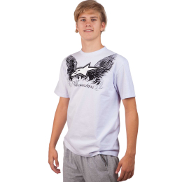 Футболка мужская ALPINESTARS SORE CO-4482 S-XL цвета в ассортименте