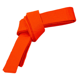 Пояс для кимоно Champion CO-4074 длина-260-300см оранжевый