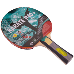 Ракетка для настольного тенниса GIANT DRAGON KARATE P40+ 4* MT-5691 ST12402P цвета в ассортименте