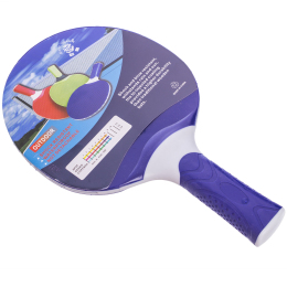 Ракетка для настольного тенниса GIANT DRAGON OUTDOOR MT-5686 PR15113 цвета в ассортименте
