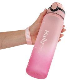 Пляшка для води HAILY SPORTS HL-8302 1000мл кольори в асортименті