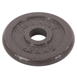 Блини (диски) сталеві d-30мм Zelart TA-7789-1_25 1,25 кг сірий