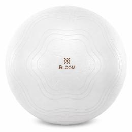 Фітбол м'яч для фітнесу сатин BLOOM LB7051-65 ø65см кольори в асортименті
