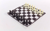 Шахові фігури з полотном SP-Sport IG-3103-PLAST-SHAHM пішак-2 см пластик