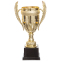 Кубок спортивный с ручками SP-Sport JZ001-1B высота 31см золотой