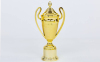 Кубок спортивный с ручками и крышкой SP-Sport FAVOURITE HB4002D высота 22см золотой