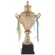 Кубок спортивний з ручками і кришкою SP-Sport FAIRY G108A висота 55см золотий