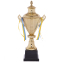Кубок спортивный с ручками и крышкой SP-Sport FAIRY G108B высота 47см золотой