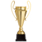 Кубок спортивний з ручками SP-Sport 1601B висота 43,5см золотий