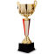Кубок спортивний з ручками SP-Sport HB005B висота 29,5см золотий