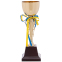 Кубок спортивний SP-Sport C-403 висота 31,5см золотий