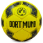 Мяч футбольный BORUSSIA DORTMUND BALLONSTAR FB-0139 №5