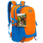 Рюкзак спортивный с жесткой спинкой COLOR LIFE TY-5293 22л цвета в ассортименте